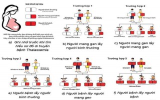 Mức độ nguy hiểm của bệnh Thalassemia và cách tầm soát sớm